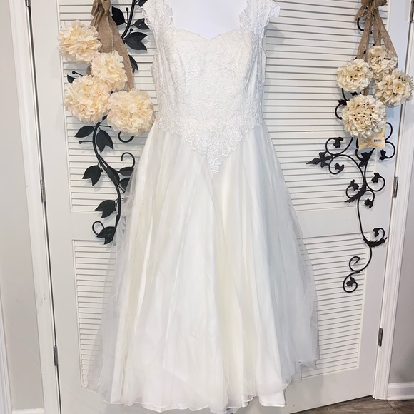 David’s Wedding Gown Plus Size - Picture 15 of 16